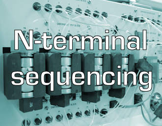 N-terminal sequencing services